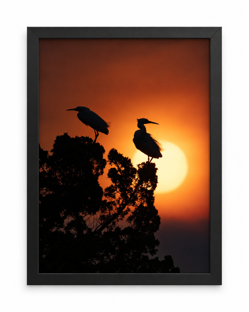 4×6" Photograph Print